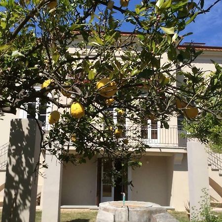 Villa Caterina Sapri Exteriör bild